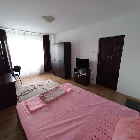 Studio Gorjului Bukares Bagian luar foto