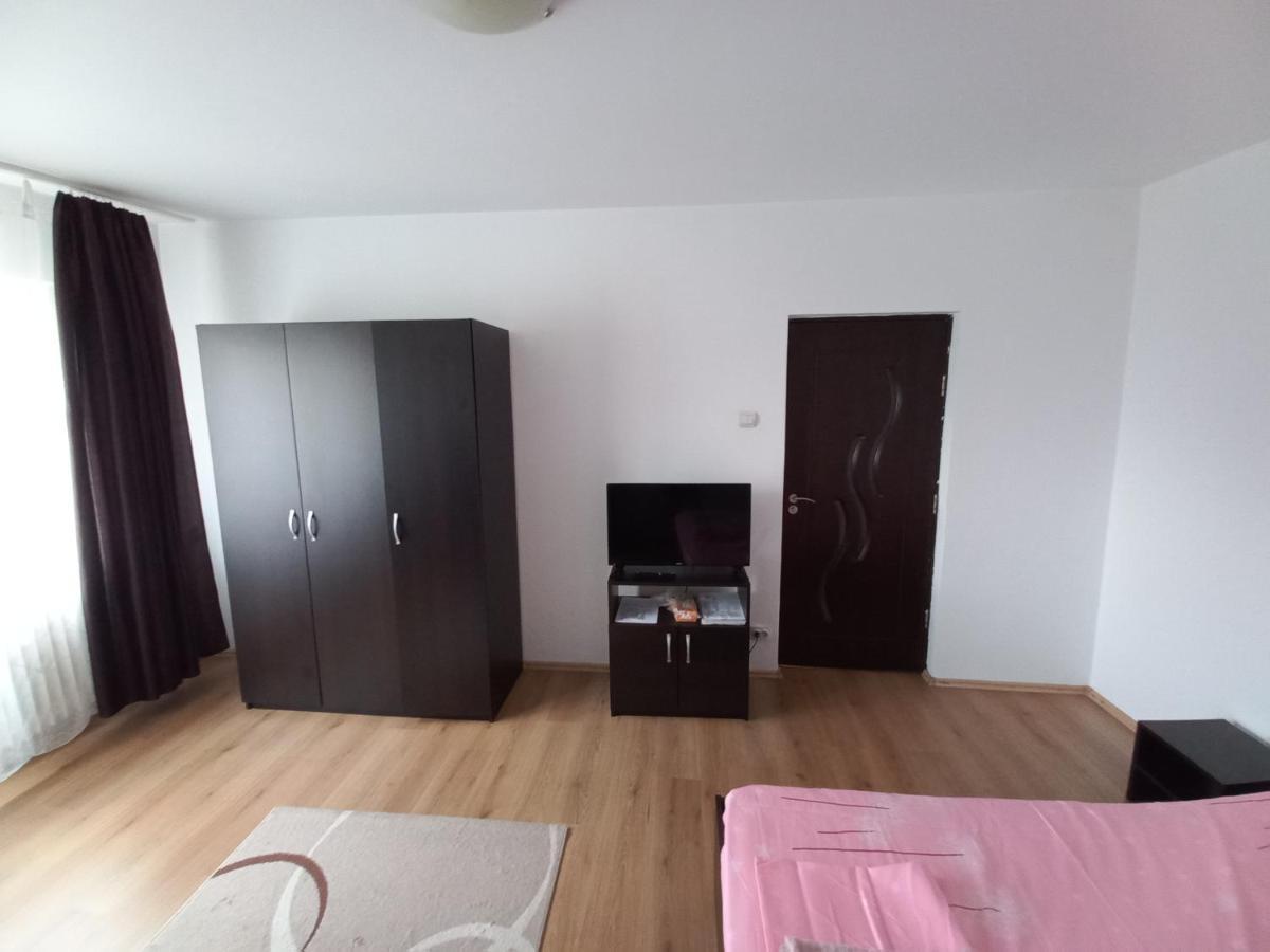 Studio Gorjului Bukares Bagian luar foto